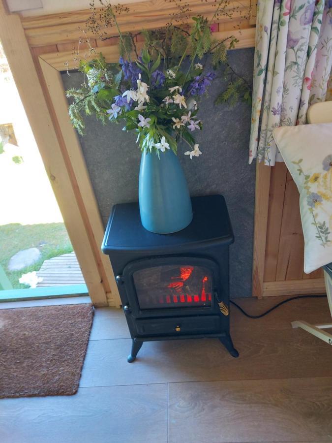 The Old Mill Shepherds Hut Okehampton Bagian luar foto